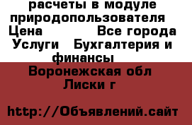 расчеты в модуле природопользователя › Цена ­ 3 000 - Все города Услуги » Бухгалтерия и финансы   . Воронежская обл.,Лиски г.